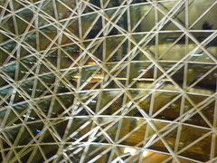Esplanade lattice