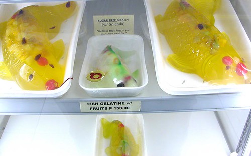 fishy gelatin